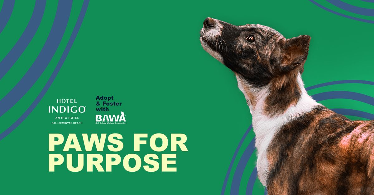 PAWS FOR PURPOSE - Puppy Yoga