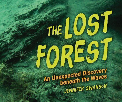 Take a Deep Dive into a Secret Underwater Forest with Author Jennifer Swanson