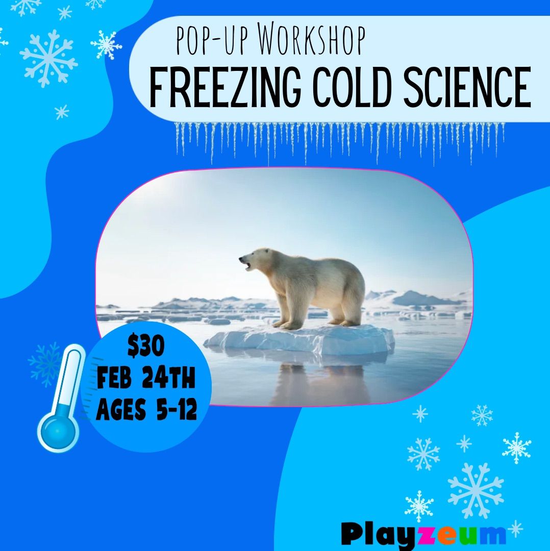 Pop-Up Workshop: Freezing Cold Science