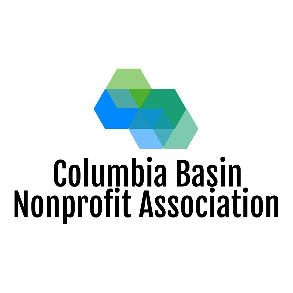 CBNA November Session - Annual Giving Panel Discussion