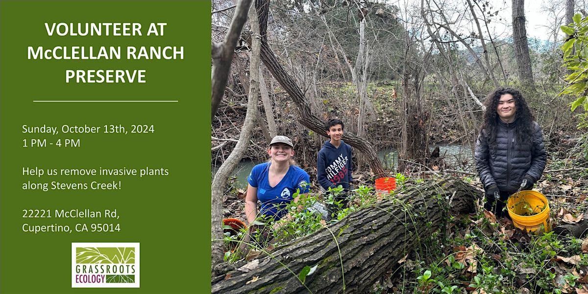 Nurture Nature: Volunteer Outdoors in Cupertino at McClellan Ranch Preserve