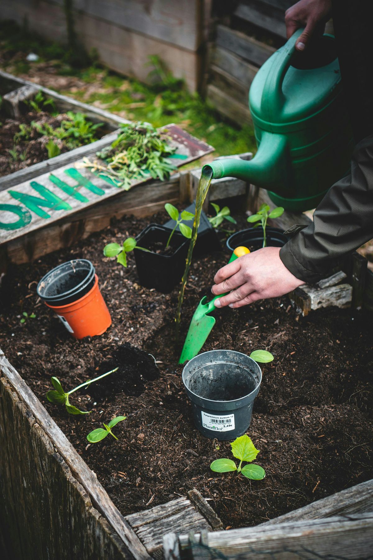 Atelier de jardinage, tous\u00b7tes au potager