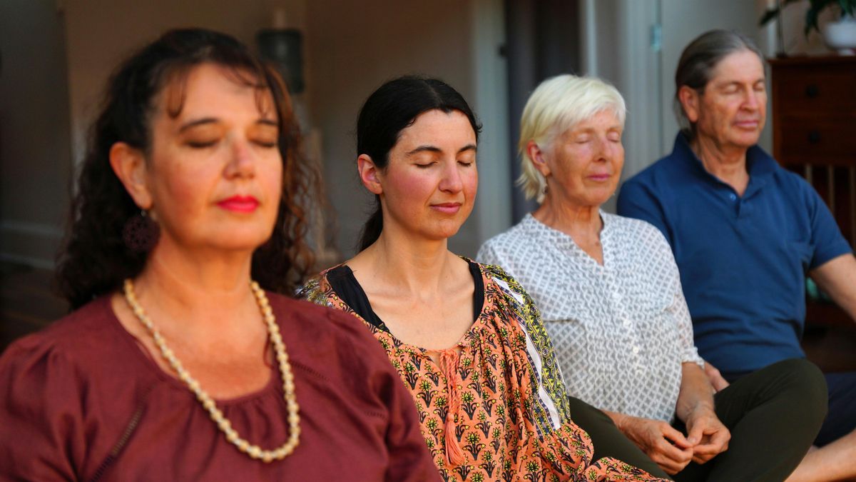 Mindfulness and Meditation Workshop