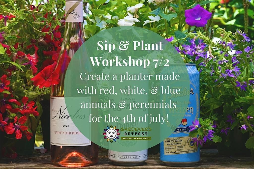 Sip and Plant Workshop:  Red, White and Blue Planter