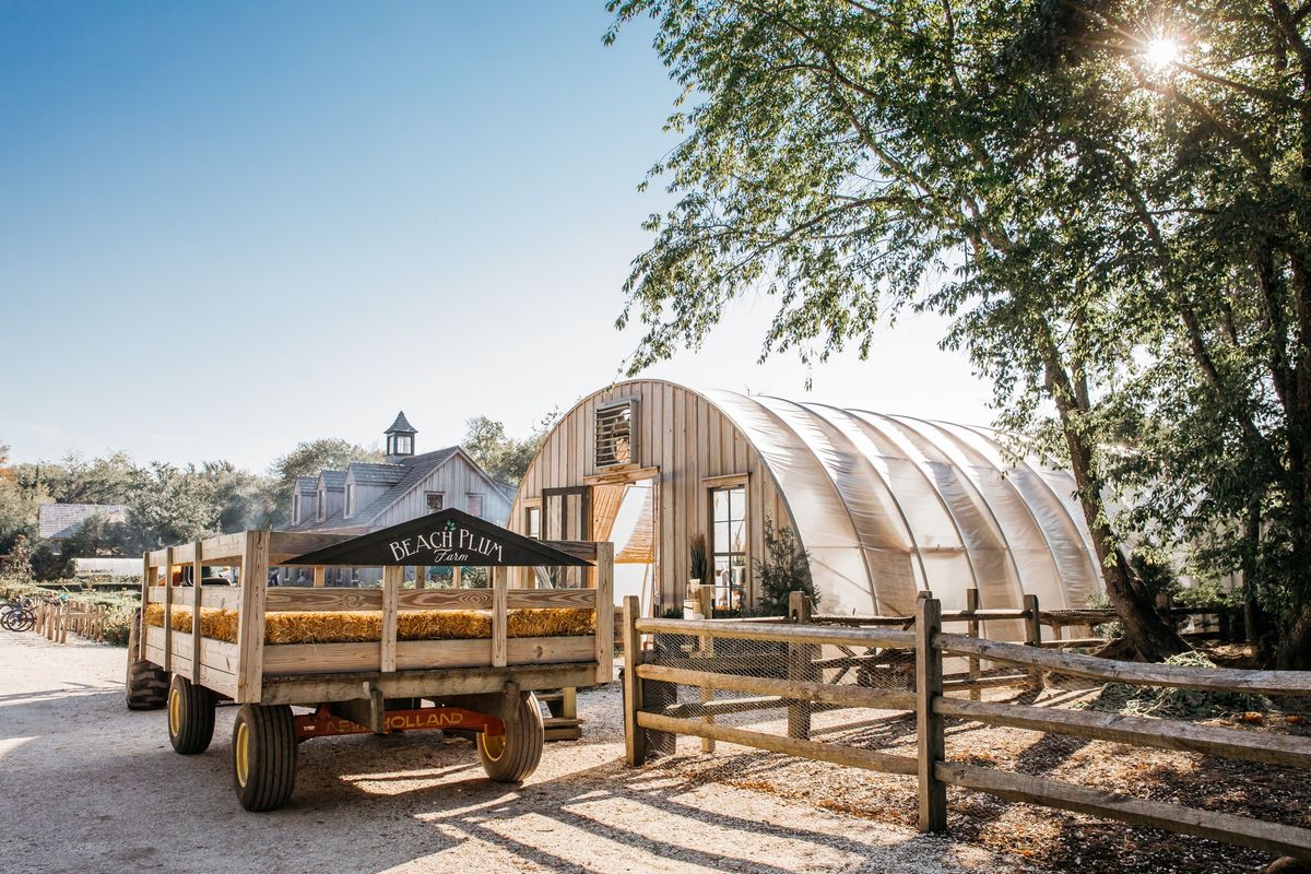 Fall at the Farm - Beach Plum Farm's Fall Festival