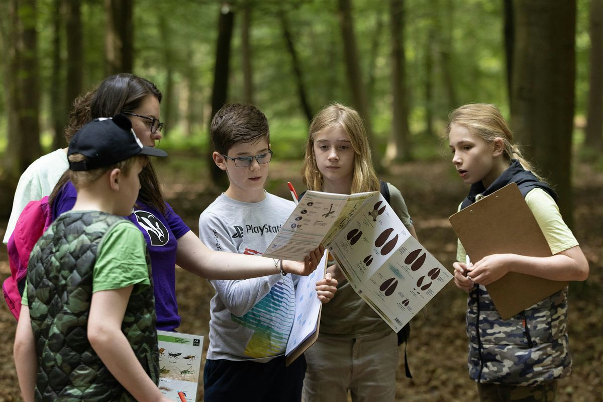 Family Event 'Natural Mystery.' Nature Discovery Centre. Wed 19th February - 10am start