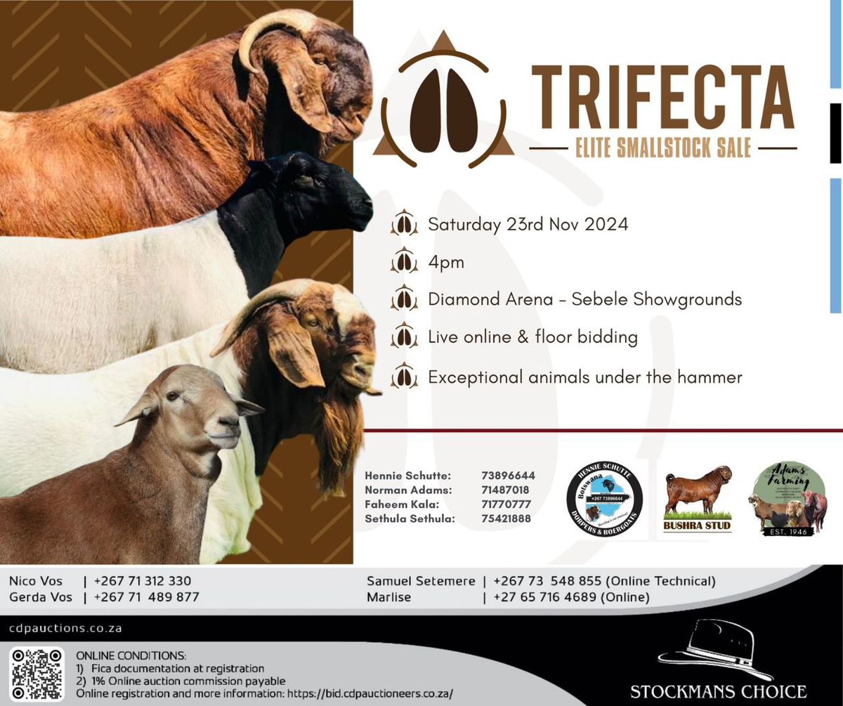 The Trifecta Elite Auction