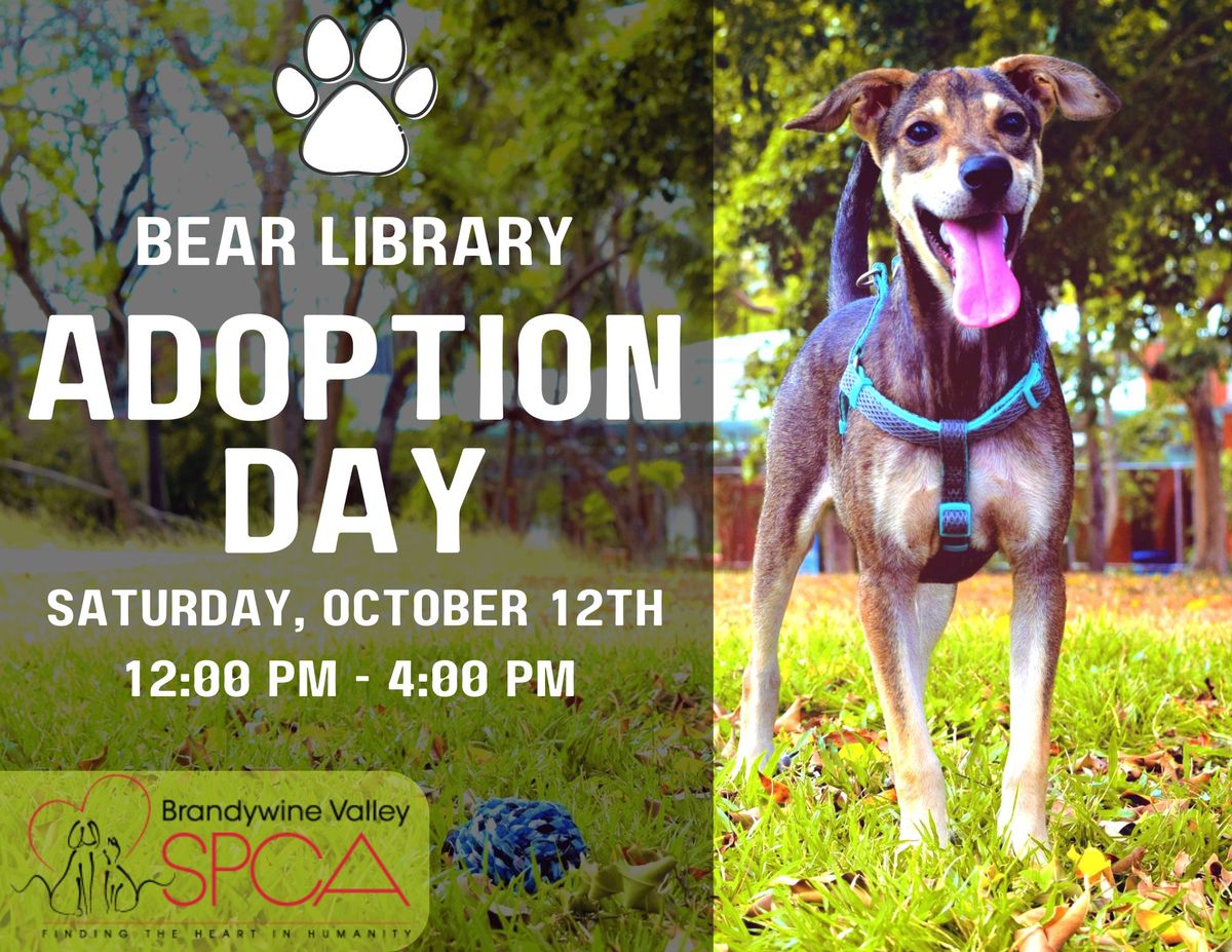 Adoption Day @ the Library 