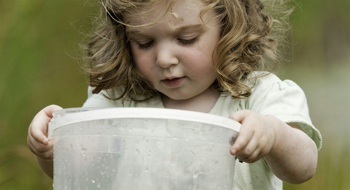 Nature Tots - Woolley Firs Maidenhead, Monday 22 July