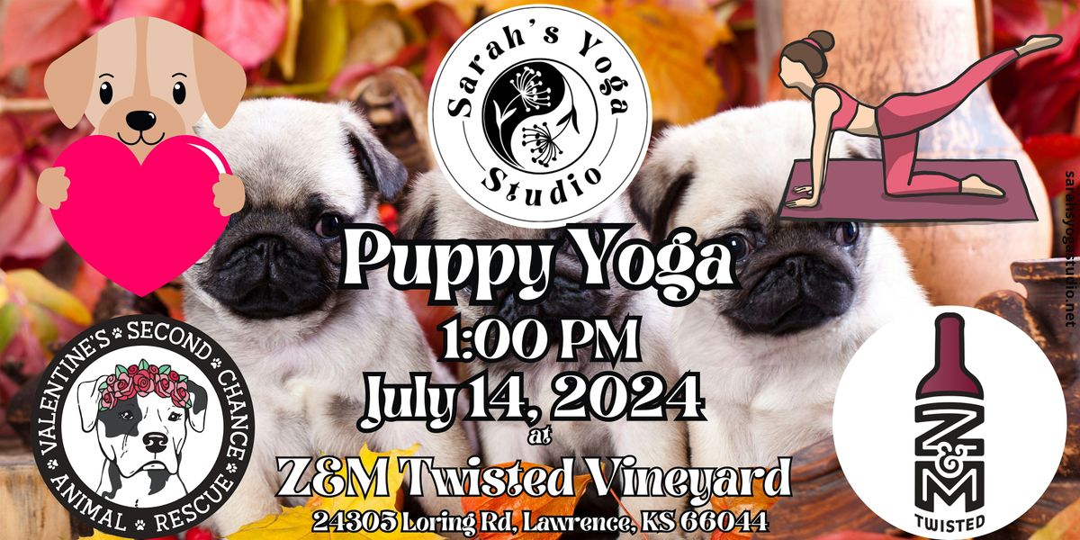 Puppy Yoga at Z&M Twisted Vineyard with Sarah's Yoga Studio