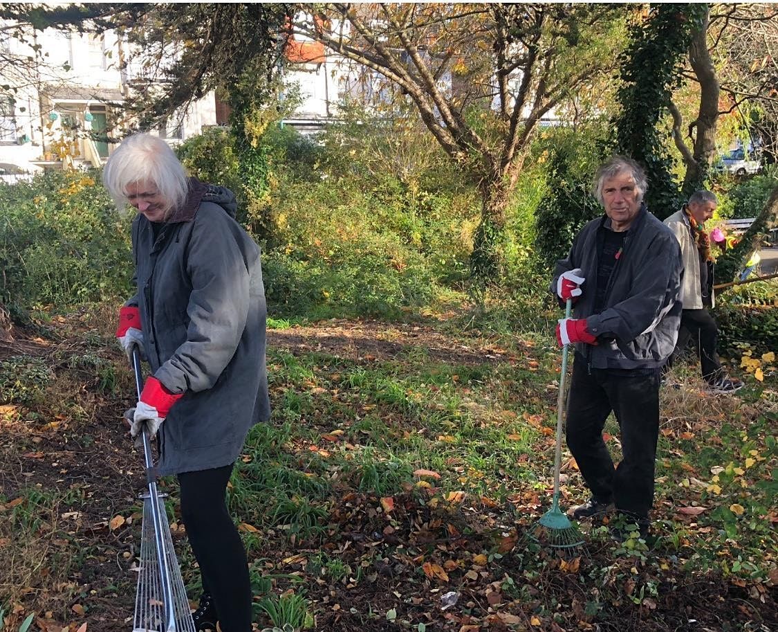 Restoring Horseshoe Common