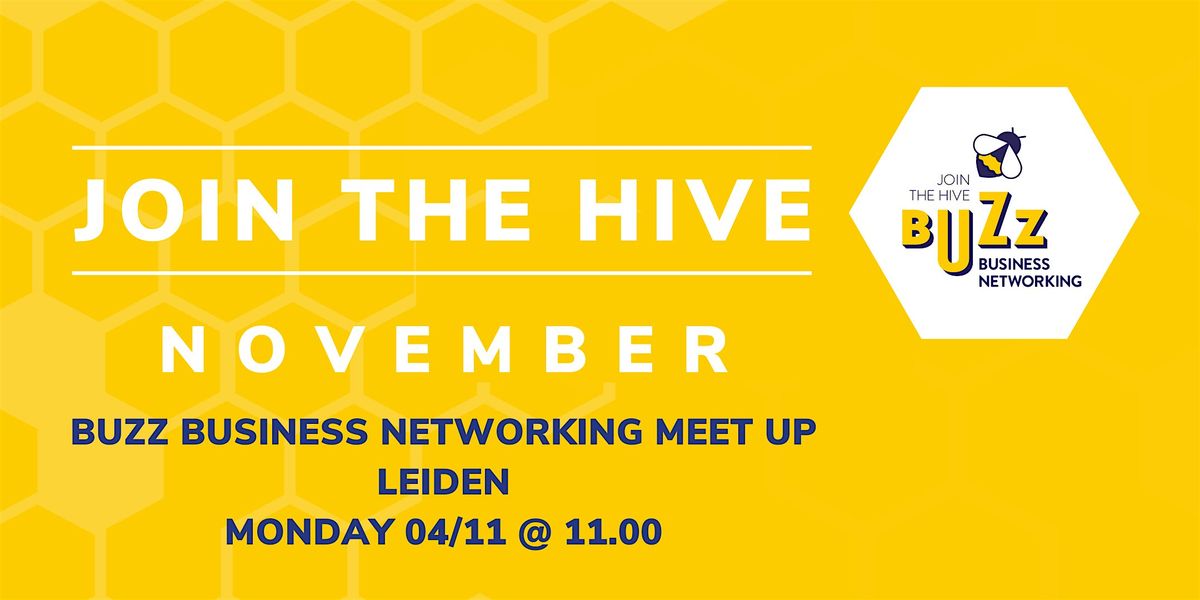 November 2024 Buzz Business Networking Meet Up \u2013 Leiden