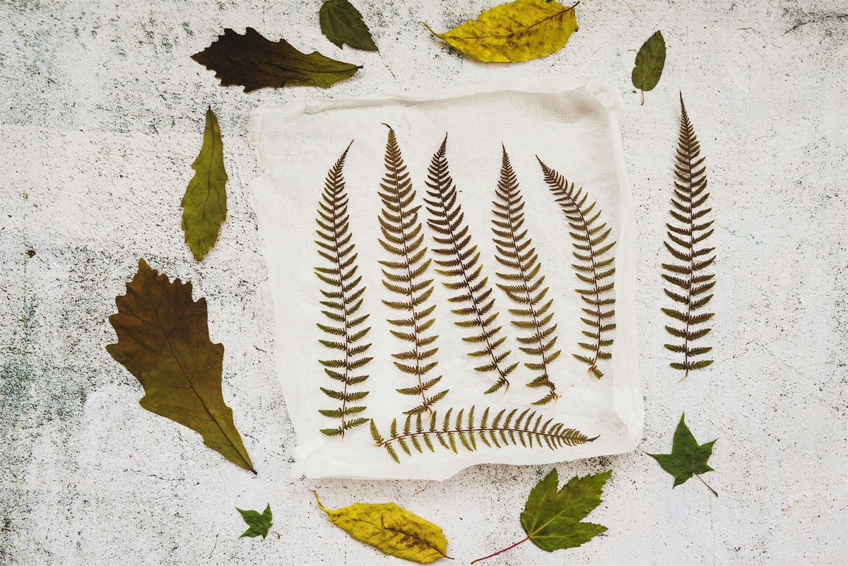 Leaf Printing