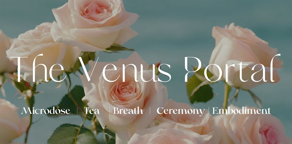 The Venus Portal | SOLSTICE