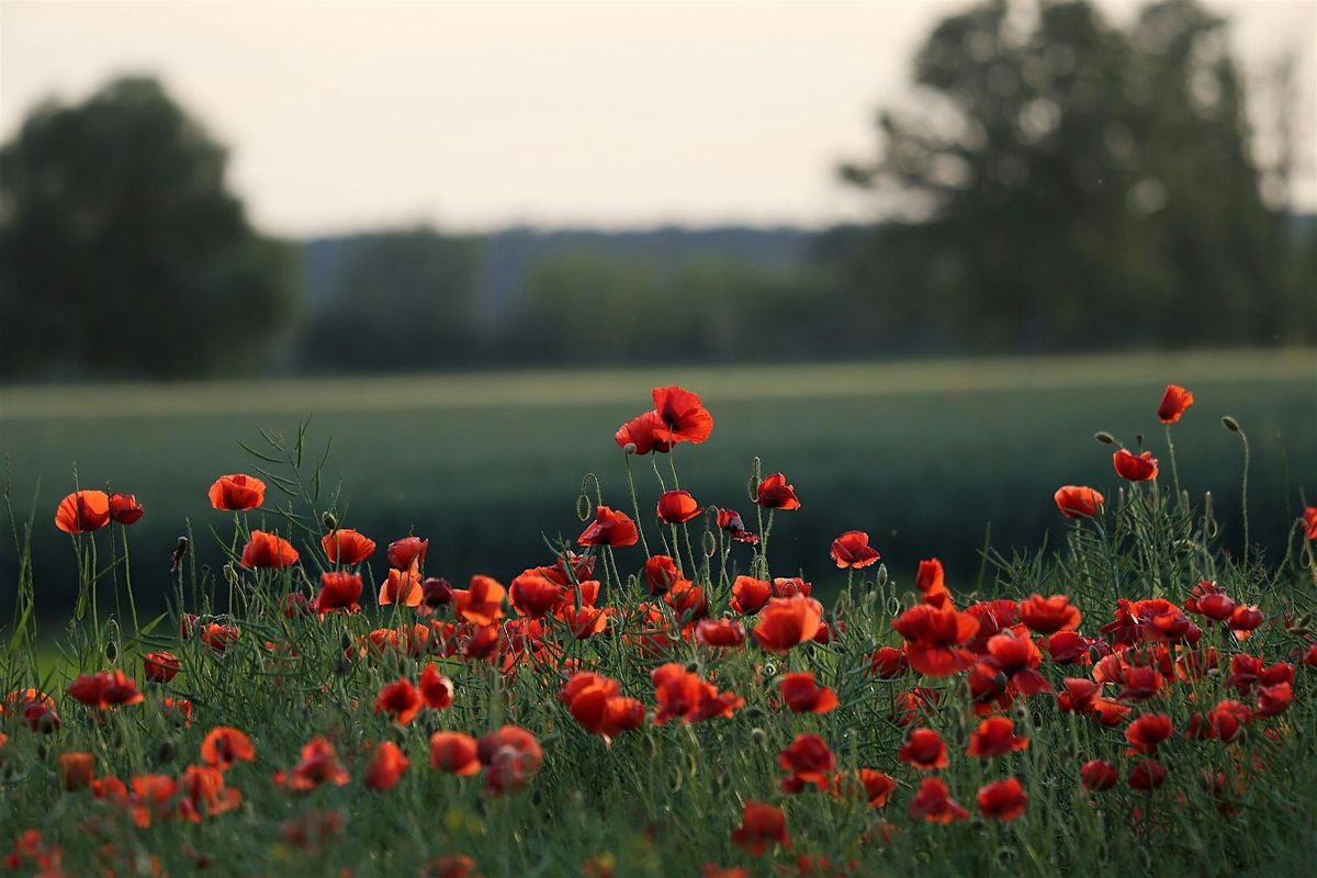 Music for Remembrance