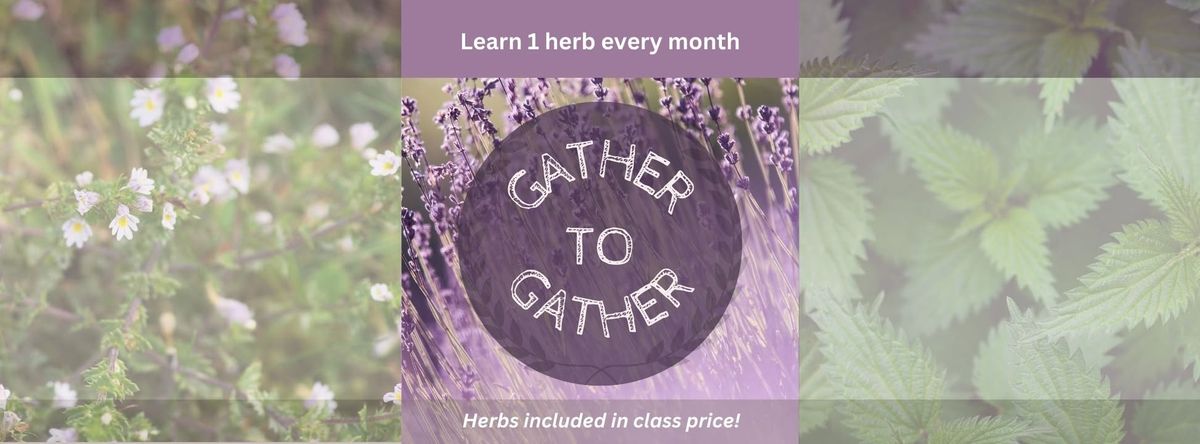 Gather to Gather: Learn 1 herb a month!