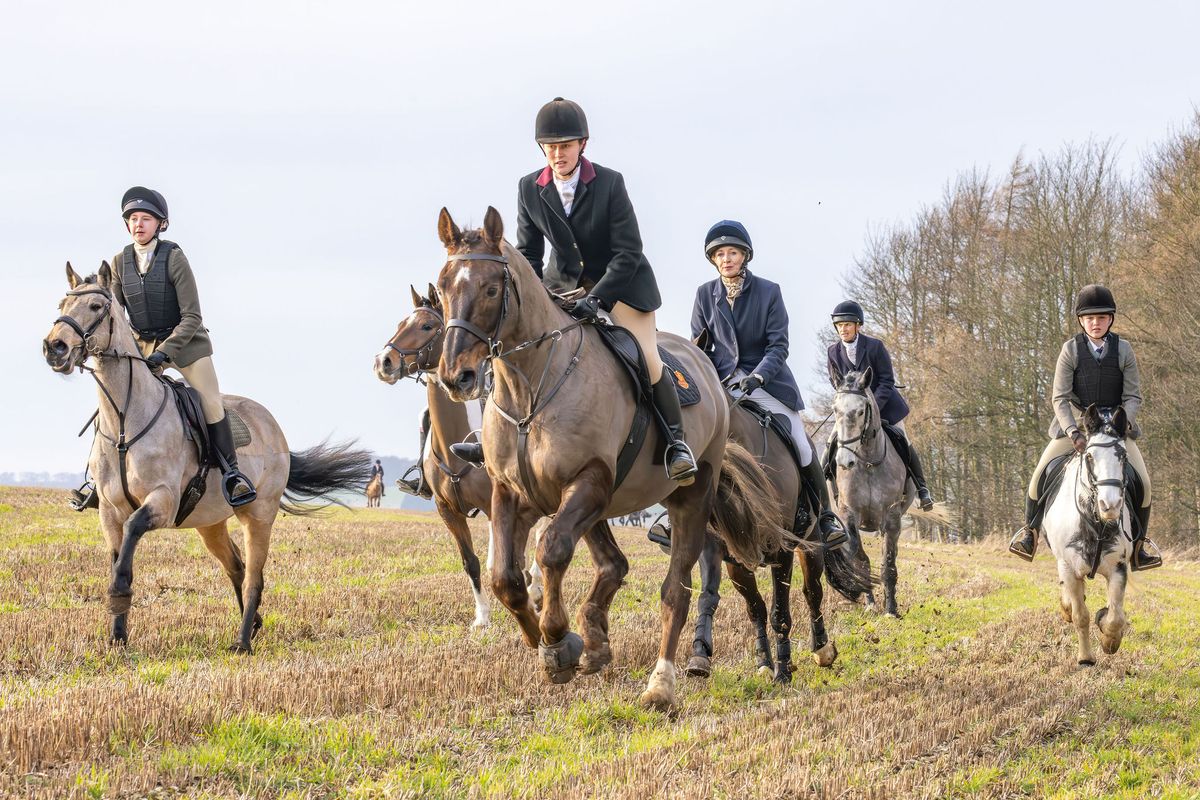 Highmoor Bloodhounds Meet @ Croome Farm, Sledmere