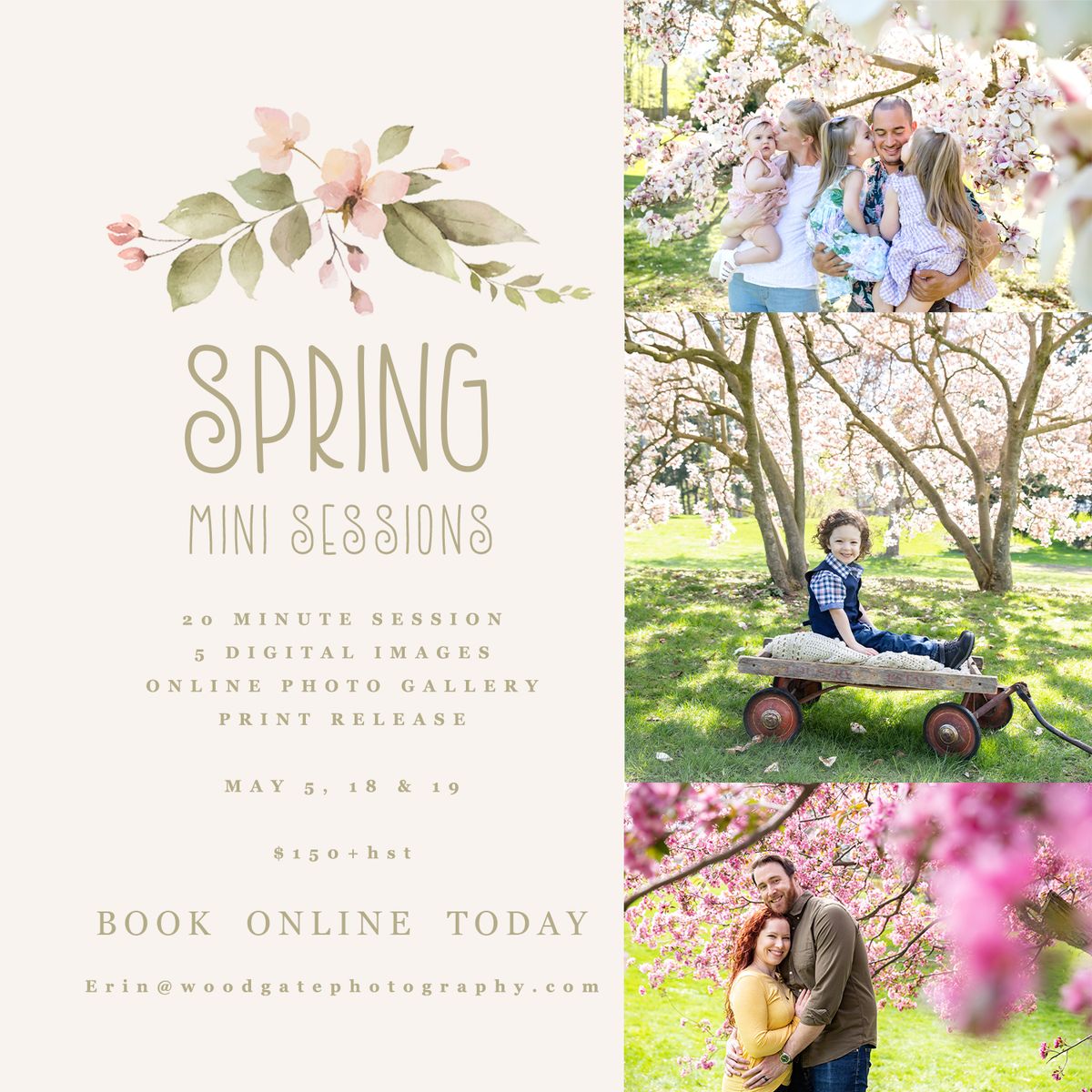 Magnolia tree spring mini sessions