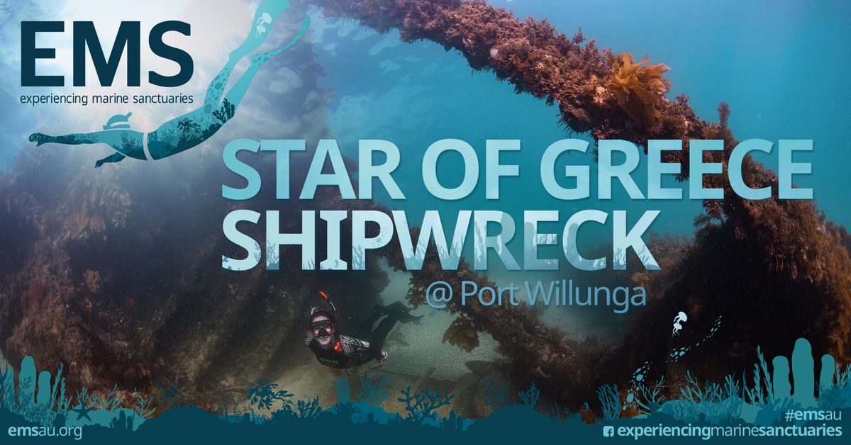 Port Willunga Beach - Star of Greece Shipwreck Snorkel - 23rd February