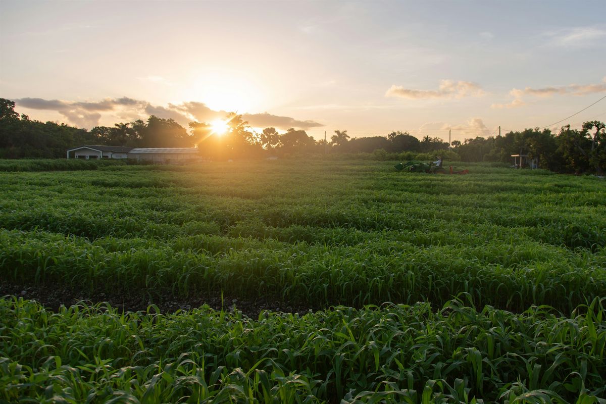 Paradise Farms Tour - February 2024