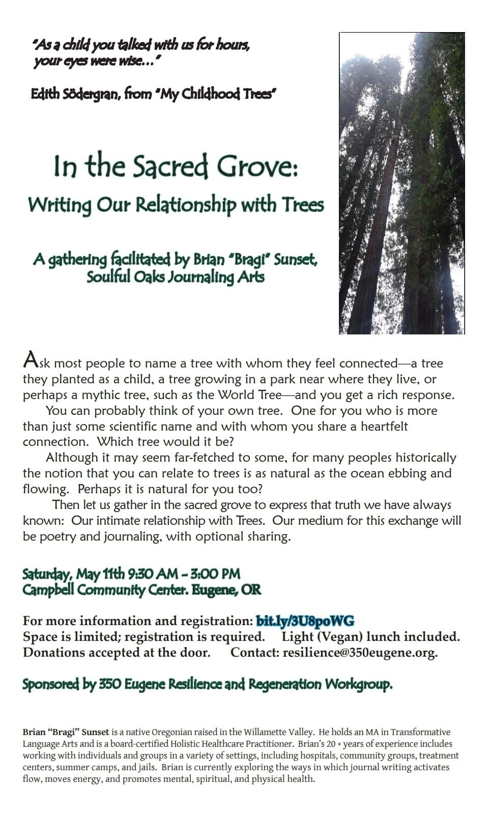 In the Sacred Grove:  Writing Our Relationship With Trees