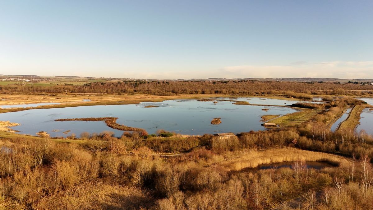 Writing in Nature Workshop with Laurence Rose