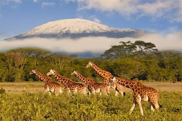 Africa Safaris - Tanzania Travel Talk at Travel Central in Metairie