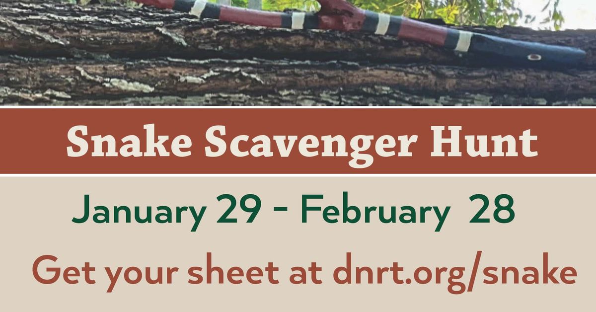 Snake Scavenger Hunt