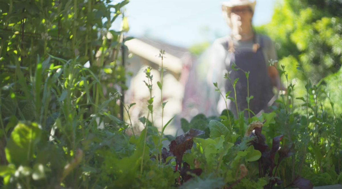 Sept 29th Sweet Antelope Vegetable Garden  Class w\/ Light Breakfast