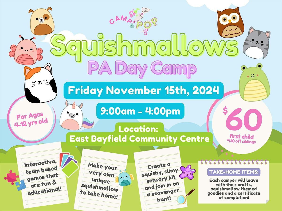 Squishmallows PA Day Camp