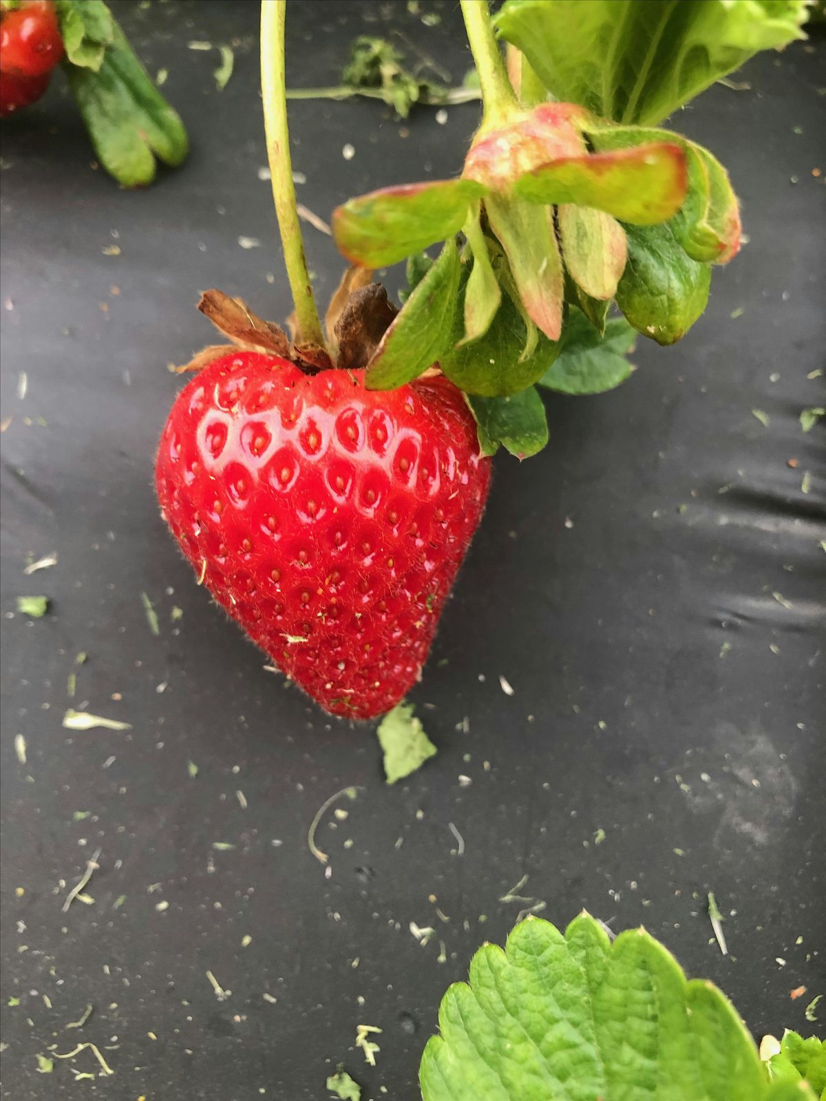 Events & Happenings in Beltsville, MD