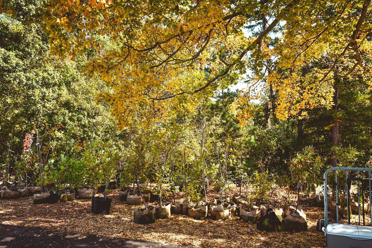 Soil Health for Trees and Deep Root Fertilization Demo w\/ Davey Trees