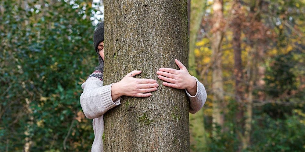 The Glasgow Tree Hugging Tournament 2024