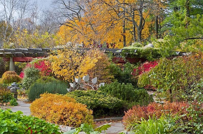 Autumn in the Garden