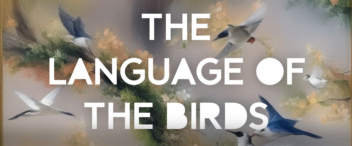 THE LANGUAGE OF THE BIRDS Open Rehearsal with Sahba Aminikia & Friends