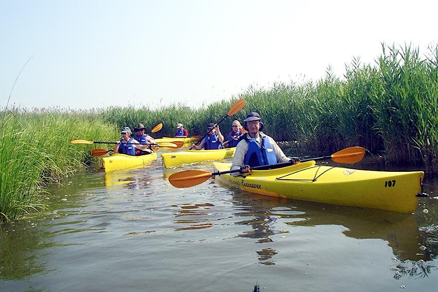 Hackensack Riverkeeper Meadowlands Exploration Guided Paddle