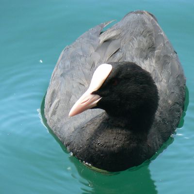 Nature Stuff - Environmental Educators