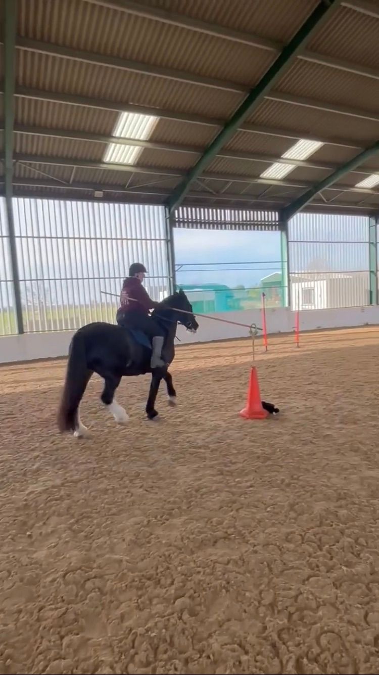 Working Equitation Clinic with Hannah Irons 