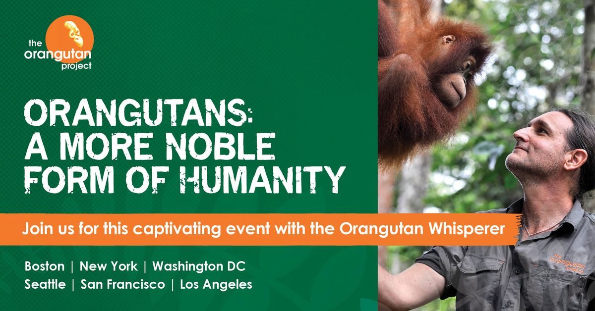 Orangutans: A More Noble Form of Humanity - BOSTON