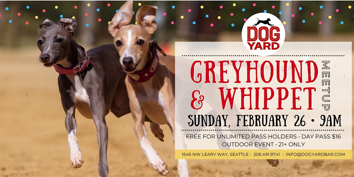 Greyhound & Whippet Meetup at Dog Yard Bar in Ballard - February 26