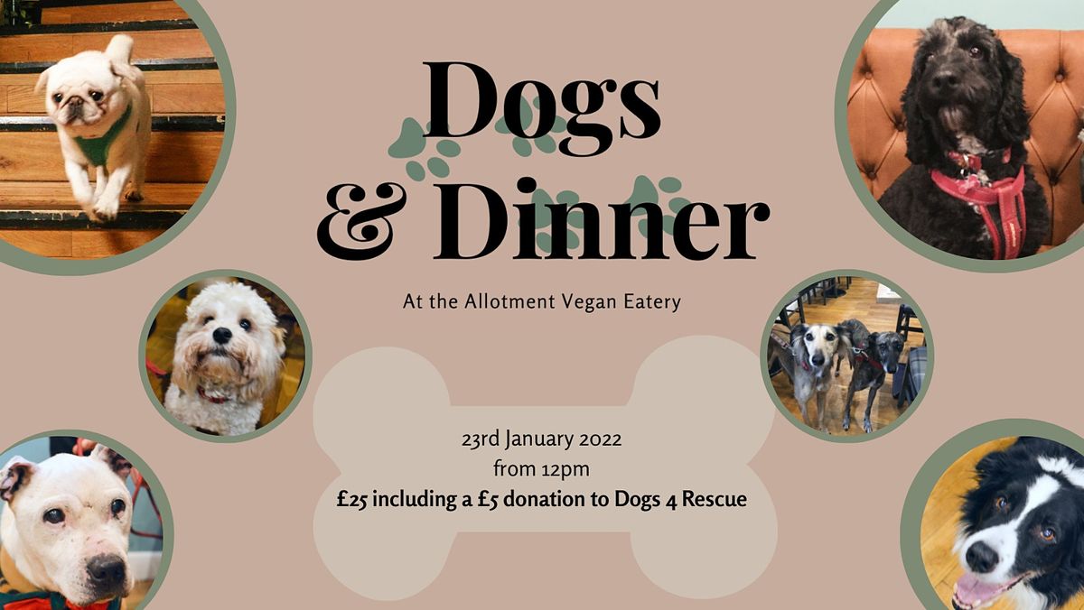 Dogs & Dinner at Allotment Vegan Eatery