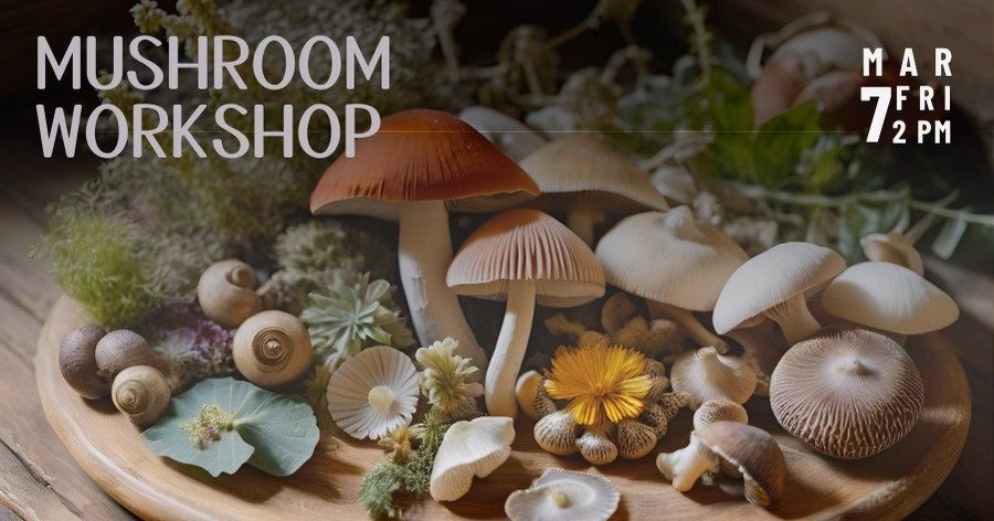 Mushrooms Workshop