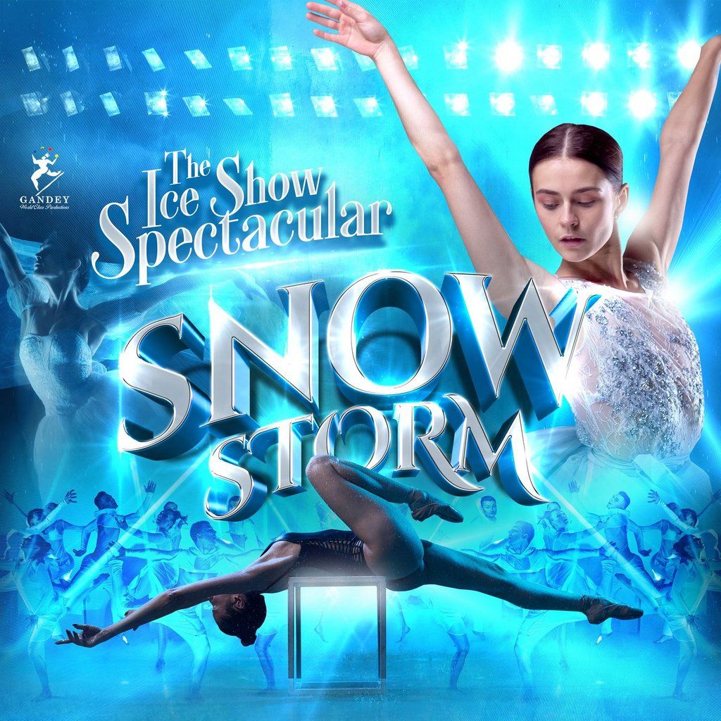 SNOWSTORM