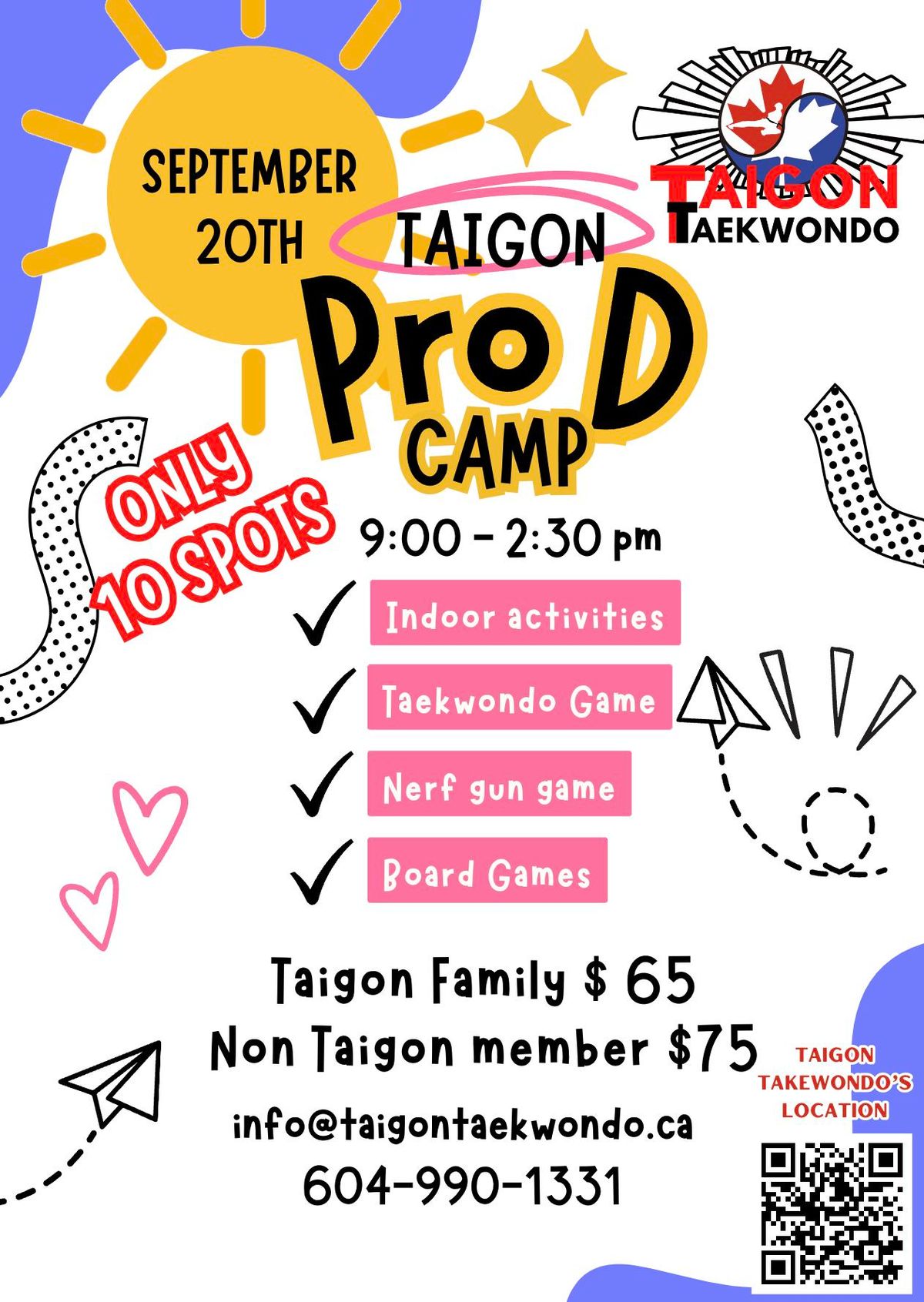 Taigon taekwondo Pro D day camp 