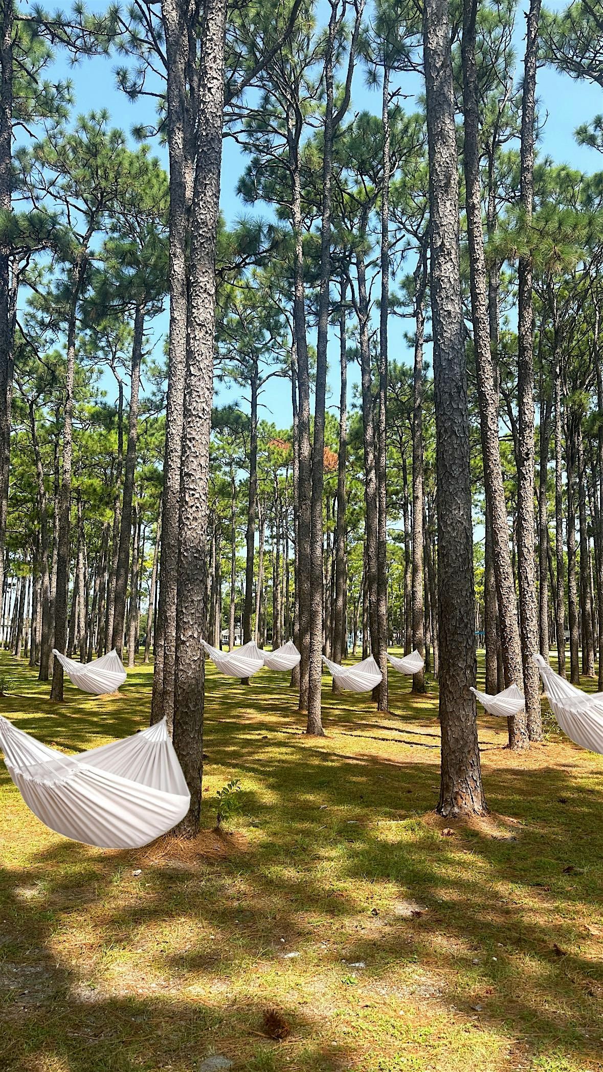 Held by the trees- Somatic hammock sound bath event.