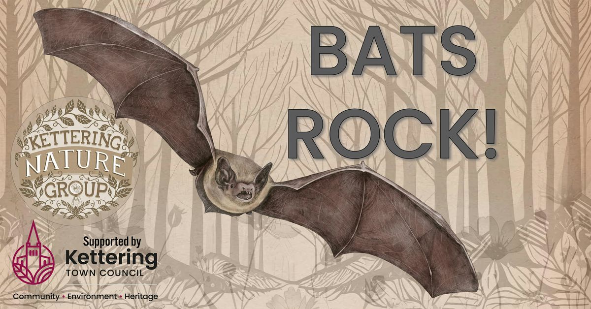 Bats Rock!  Ise Lodge 'The Wilderness' - Friday June 28th 9.15pm