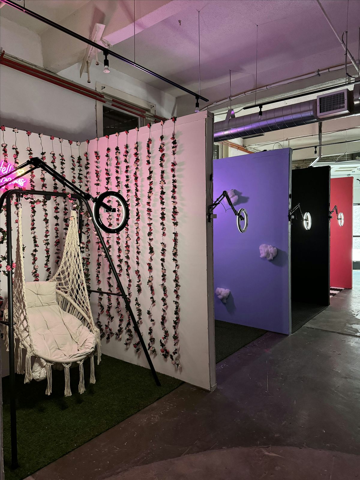 Picture Perfect Selfie Museum