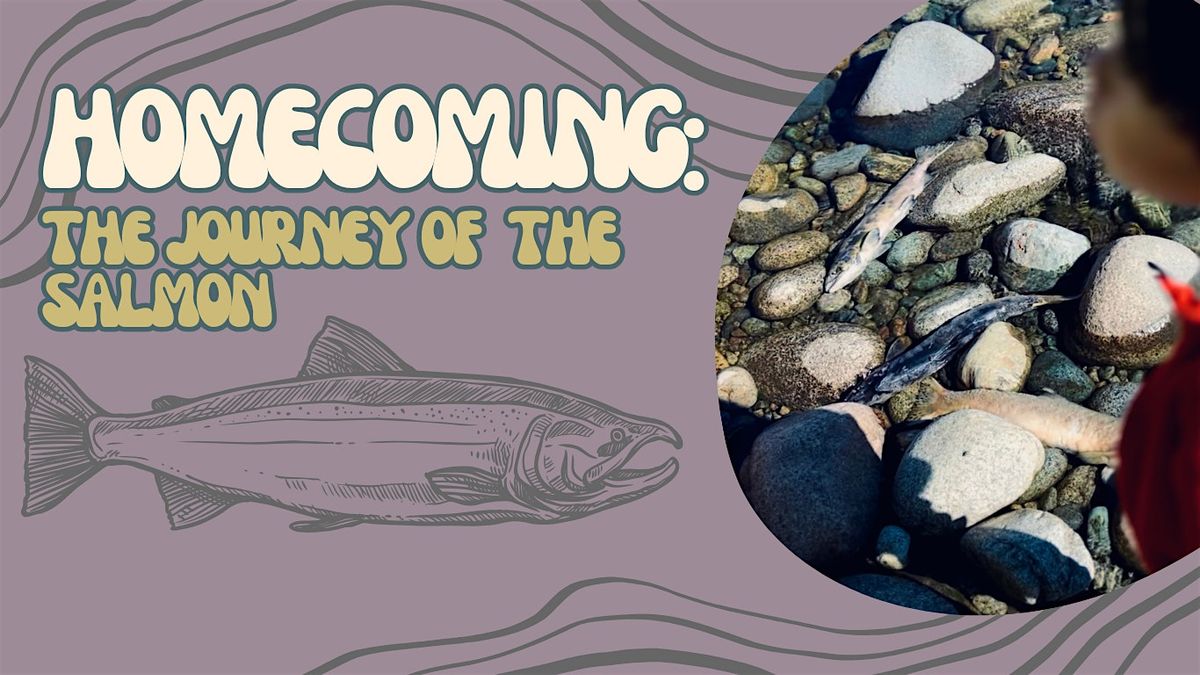 Homecoming: The journey of the Salmon