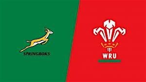 South Africa vs. Wales Live Rugby Watch Party