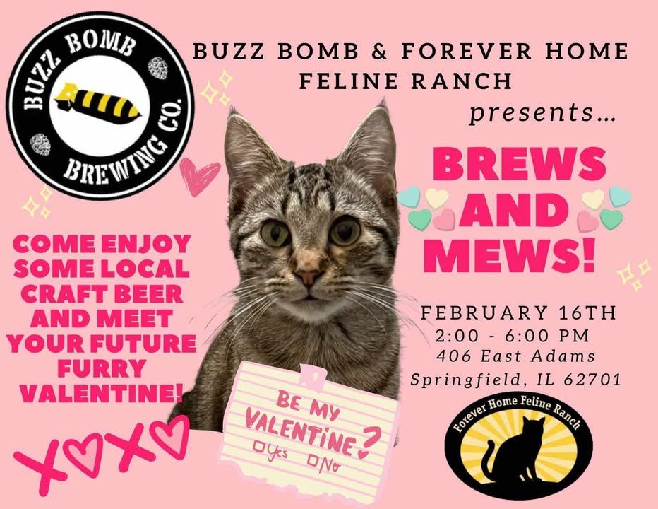 Brews and Mews: Valentine\u2019s Day Edition